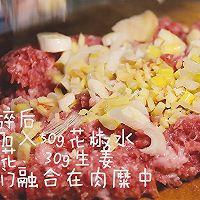 羊肉胡萝卜饺子的做法图解4