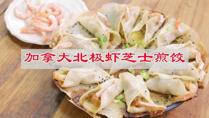 冰花加拿大北极虾芝士煎饺