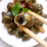红烧螺蛳的做法图解9