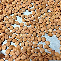 烤杏仁的做法图解4