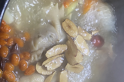砂锅鸡汤/鸽子汤