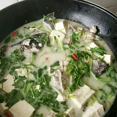 豆腐炖鱼汤