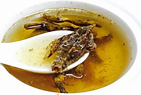 海底麻雀石斛炖老鸭汤【夏天凉汤】的做法