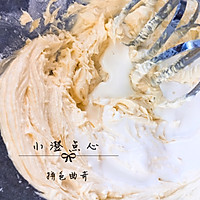拼色曲奇#有颜值的实力派#的做法图解5
