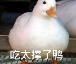 辣椒炒鸡肉的做法