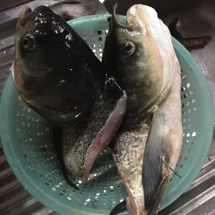 鱼头豆腐汤的做法图解1