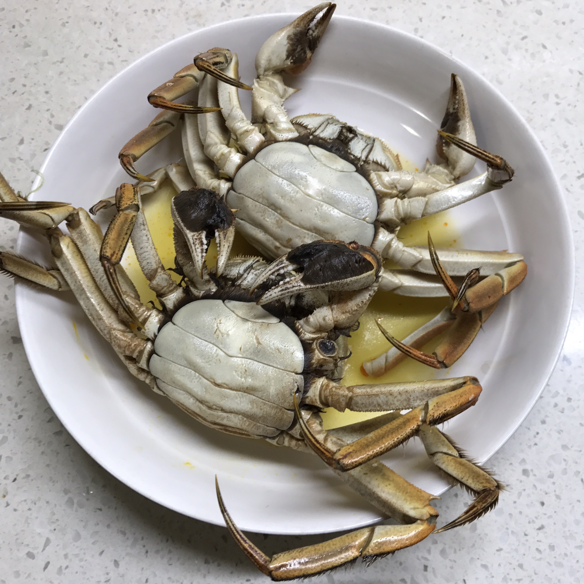 Steamed hairy crab