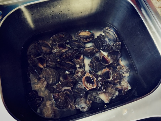 海螺沾辣根的做法图解1