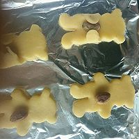 乳香小熊开心果饼干的做法图解10