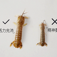 3个实用小技巧，帮你挑出最好吃的皮皮虾的做法图解3
