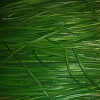 馅饼的做法图解1