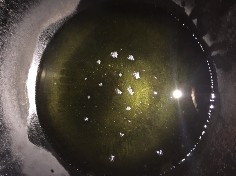 家常烧茄子的做法图解5