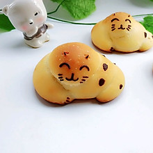 小猫咪面包#柏翠辅食节-烘焙零食#