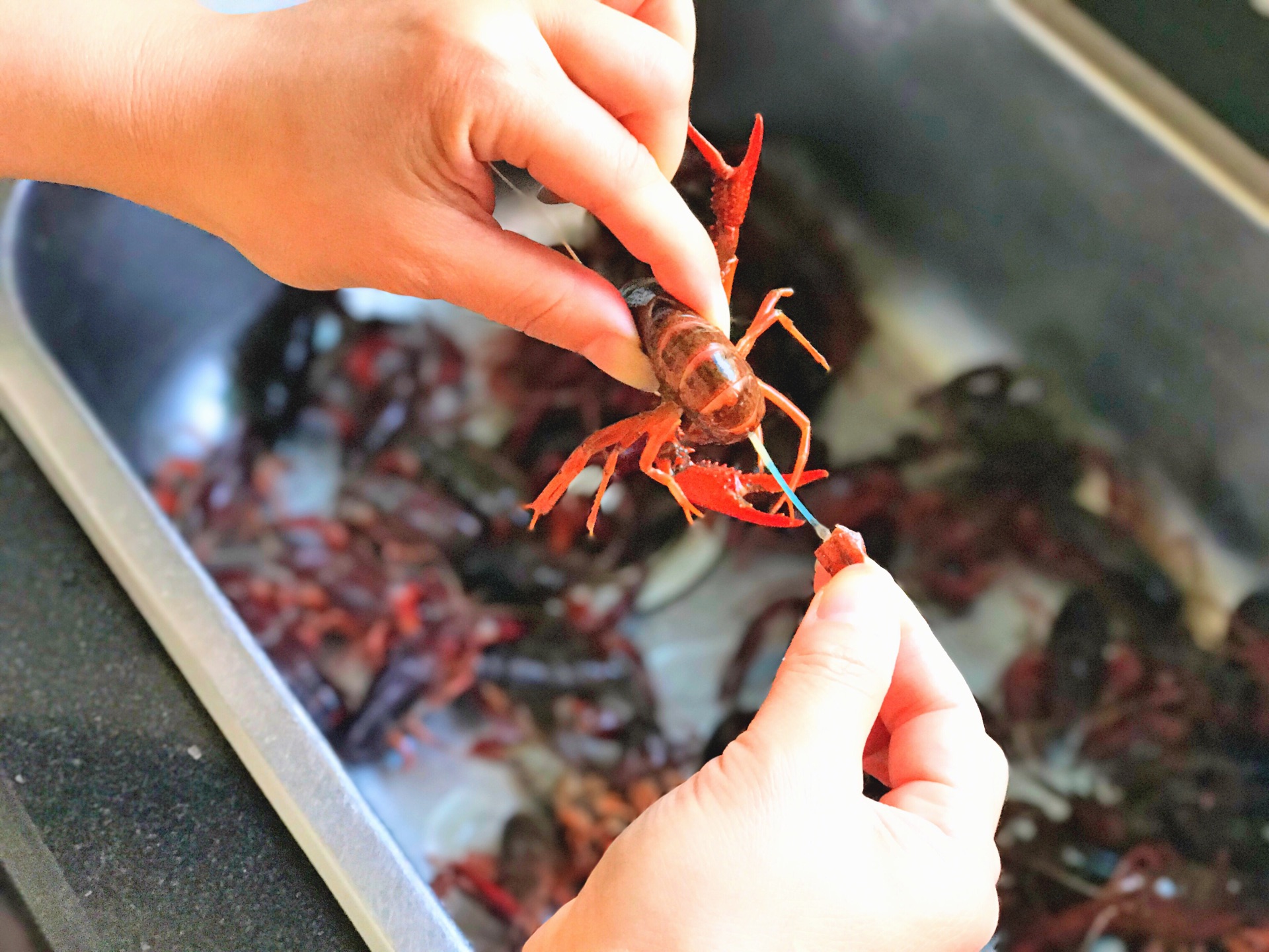 「蒜蓉小龙虾」的做法+配方，按照我说做的小龙虾绝对不会差|小龙虾|蒜蓉|步骤_新浪新闻