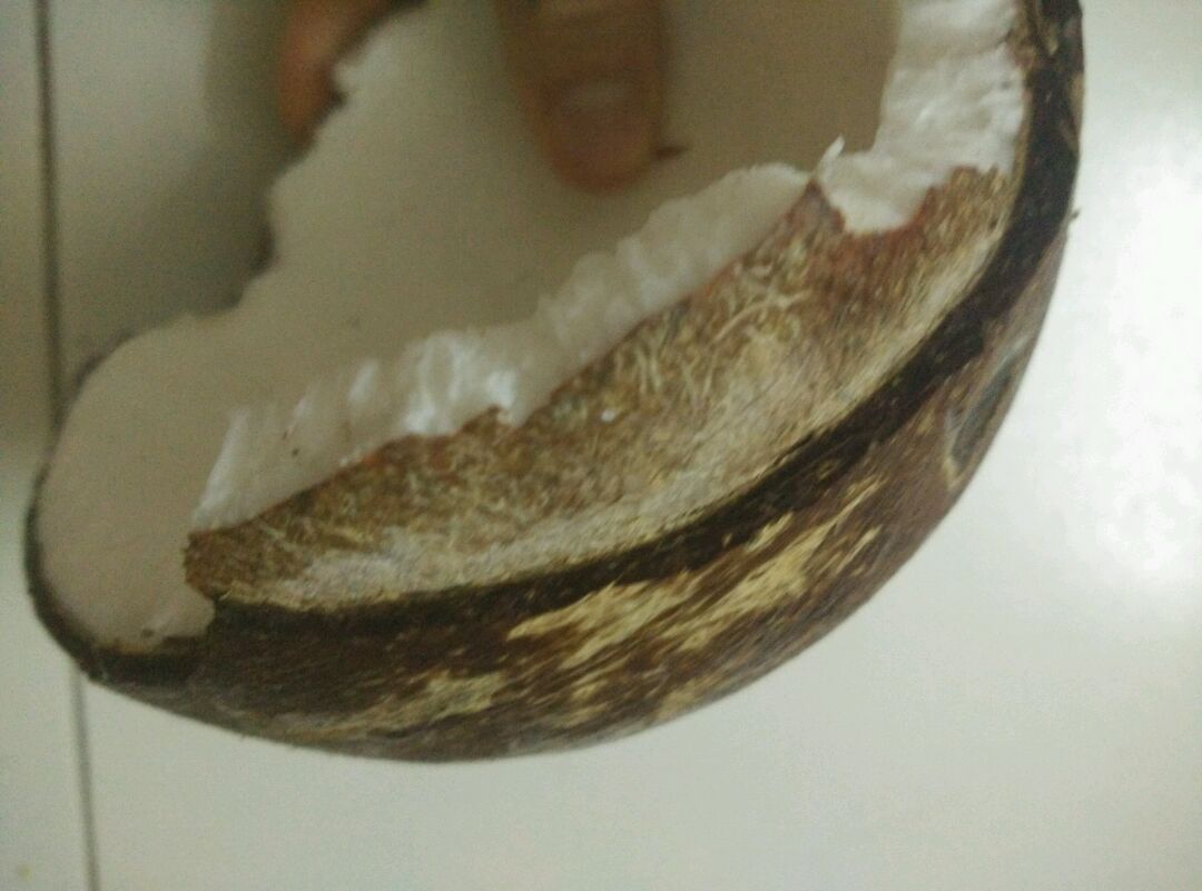 快速剥椰子壳-纯椰汁的做法图解2