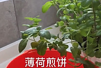 #美食视频挑战赛#薄荷煎饼的做法
