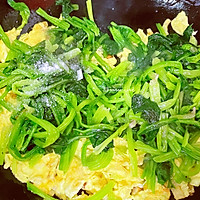 #肉食主义狂欢#猪肚鸡的做法图解6