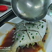 广东:清蒸鱼——金昌鱼的做法图解6