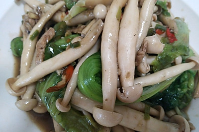 肉丝海鲜菇炒生菜