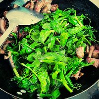 豌豆尖炒腊肉的做法图解4