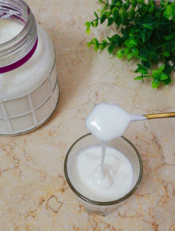 自制酸奶（奶粉版）