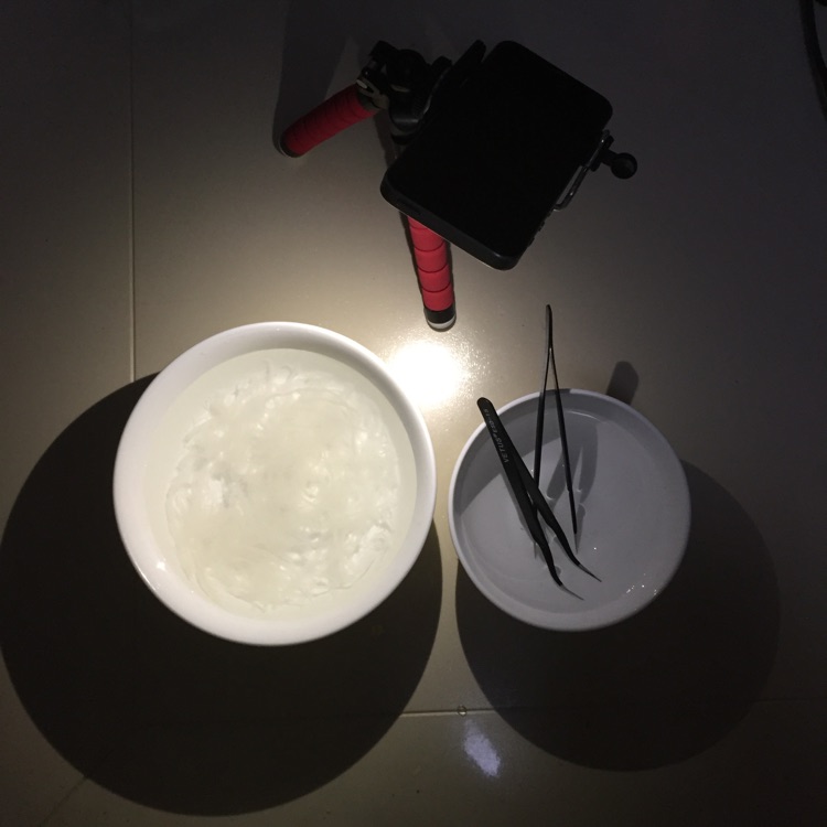 原味浓缩燕窝的做法图解2