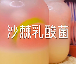 #夏日开胃餐#沙棘乳酸菌的做法