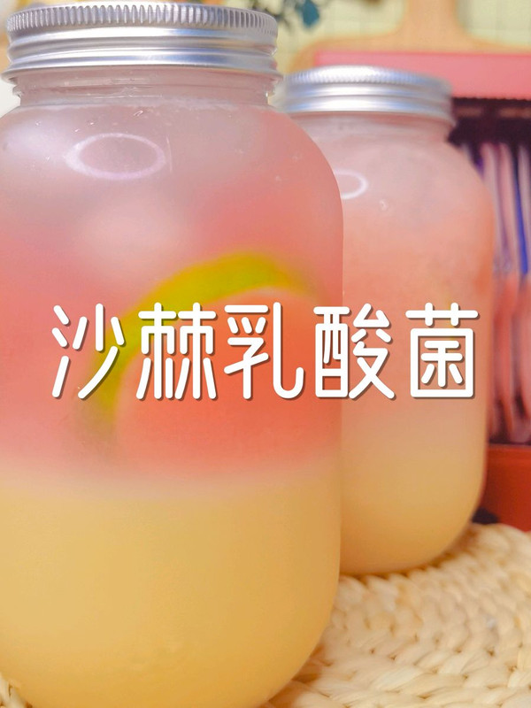 沙棘乳酸菌