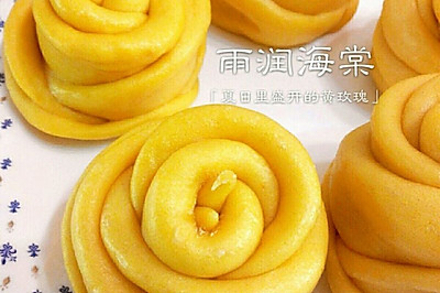 夏日里盛开的黄玫瑰