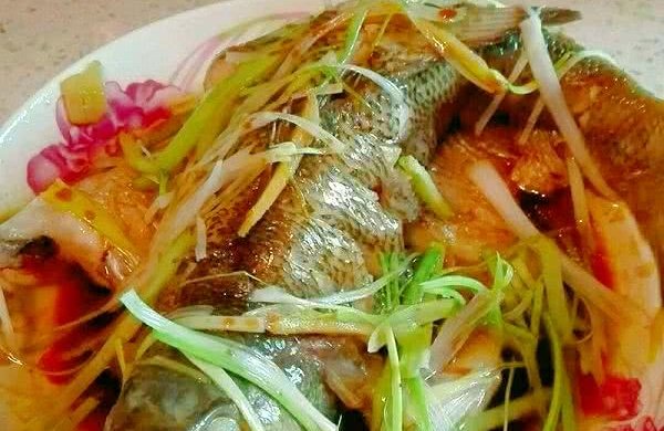 清蒸鲈鱼