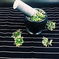 自制韭花酱的做法图解2