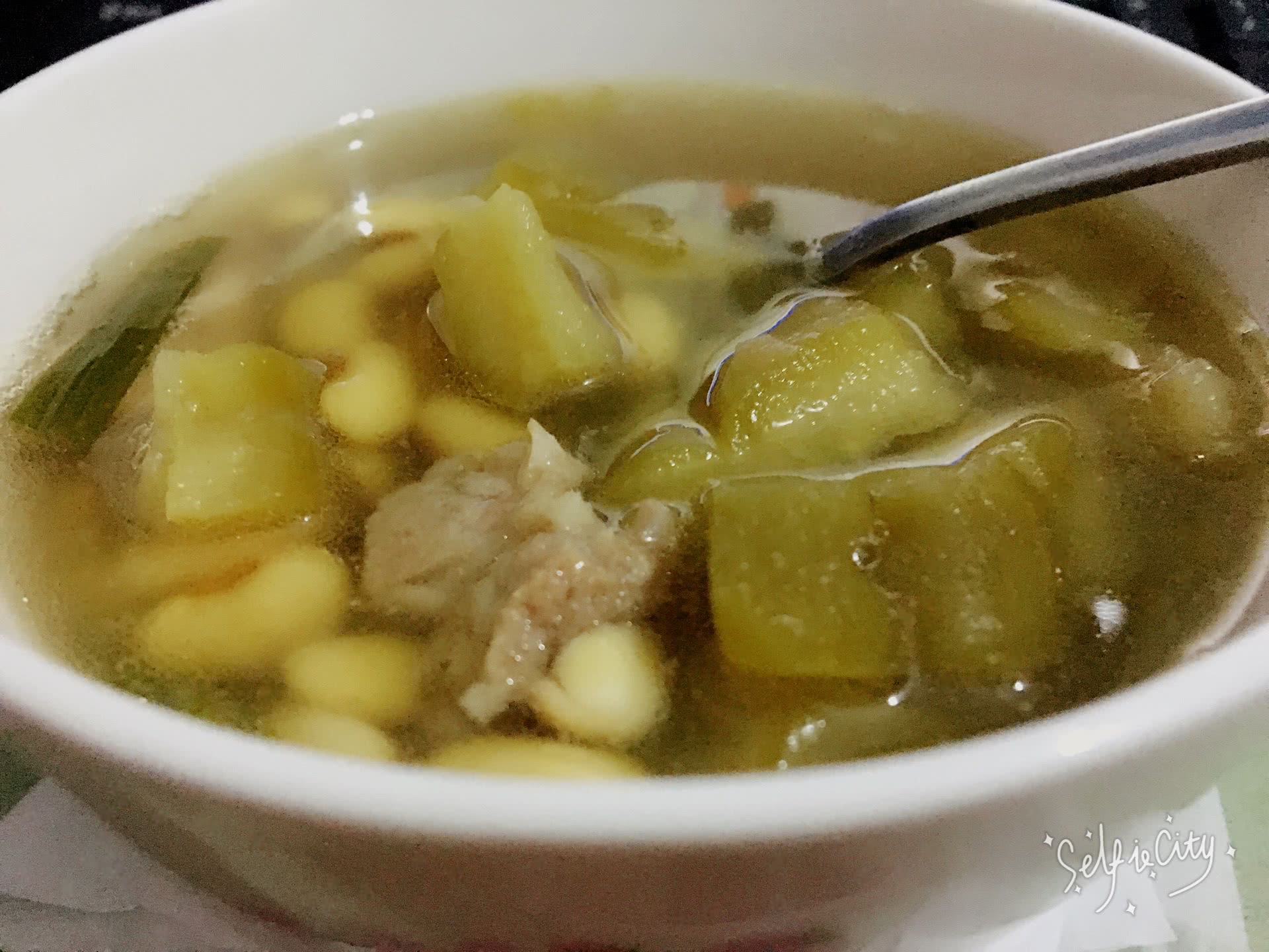 ZapPaLang: 苦瓜焖排骨 Braised pork rib with bitter gourd