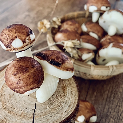 蘑菇野餐包
