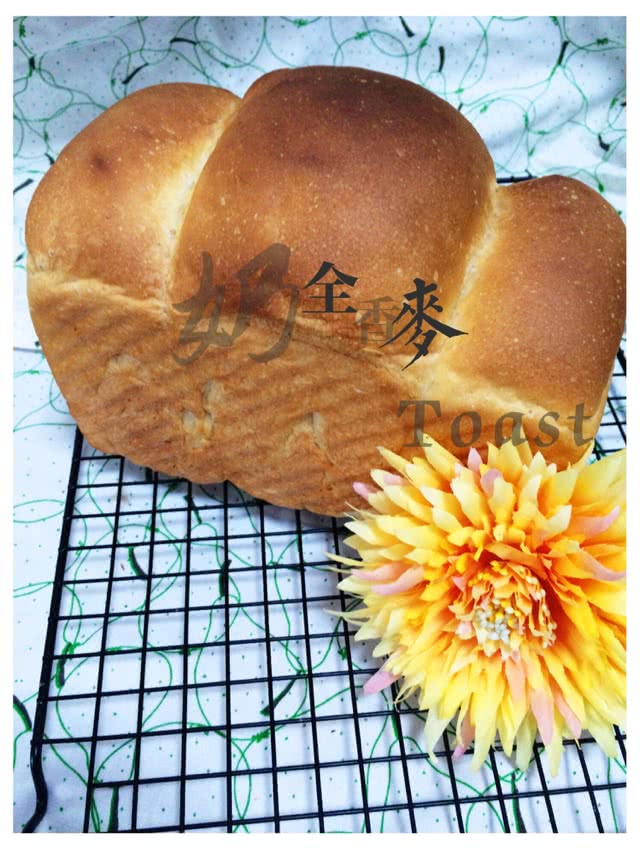 【女王厨房】全麦牛奶吐司的做法图解10