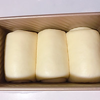 棉花口感全中种北海道奶油吐司的做法图解12
