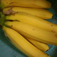香蕉春卷的做法图解1