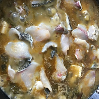 酸菜鱼的做法图解6