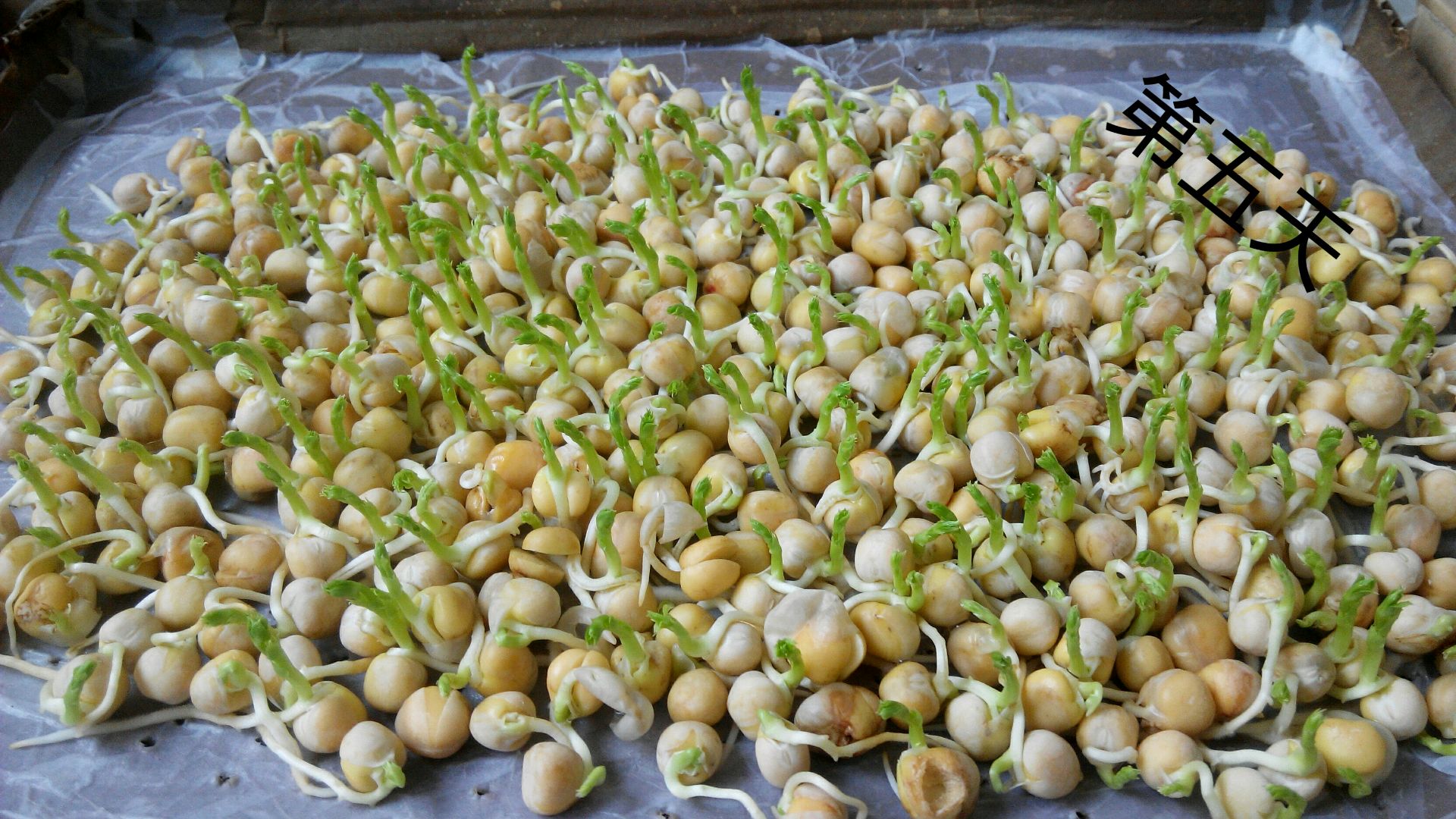 什锦豌豆的做法_【图解】什锦豌豆怎么做如何做好吃_什锦豌豆家常做法大全_画小屋__豆果美食