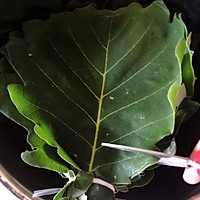 东北玻璃叶饼（也可叫饽椤叶饼）的做法图解1