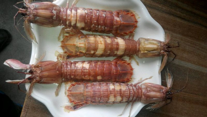 蒸虾爬子