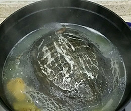 滋补甲鱼汤的做法