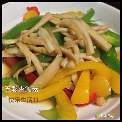 素食～五彩杏鲍菇