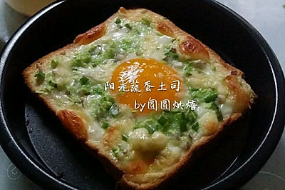 阳光蔬蛋土司