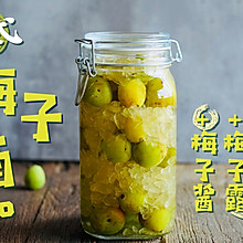 日式梅子酒&梅子露&梅子酱，这个夏天将是酸甜沁心的梅子味儿！