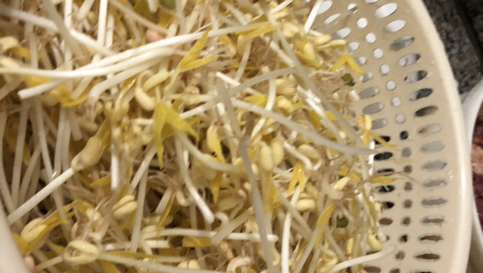 自发绿豆芽