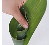 鲜玉米粽的做法图解2