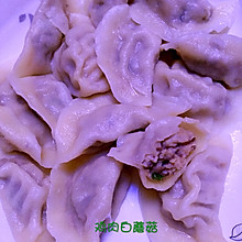 草原白蘑菇水饺