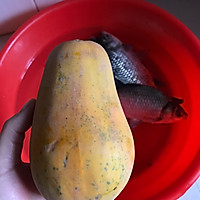 鲫鱼木瓜汤的做法图解2