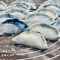 星空马齿苋鲜肉饺子的做法图解11