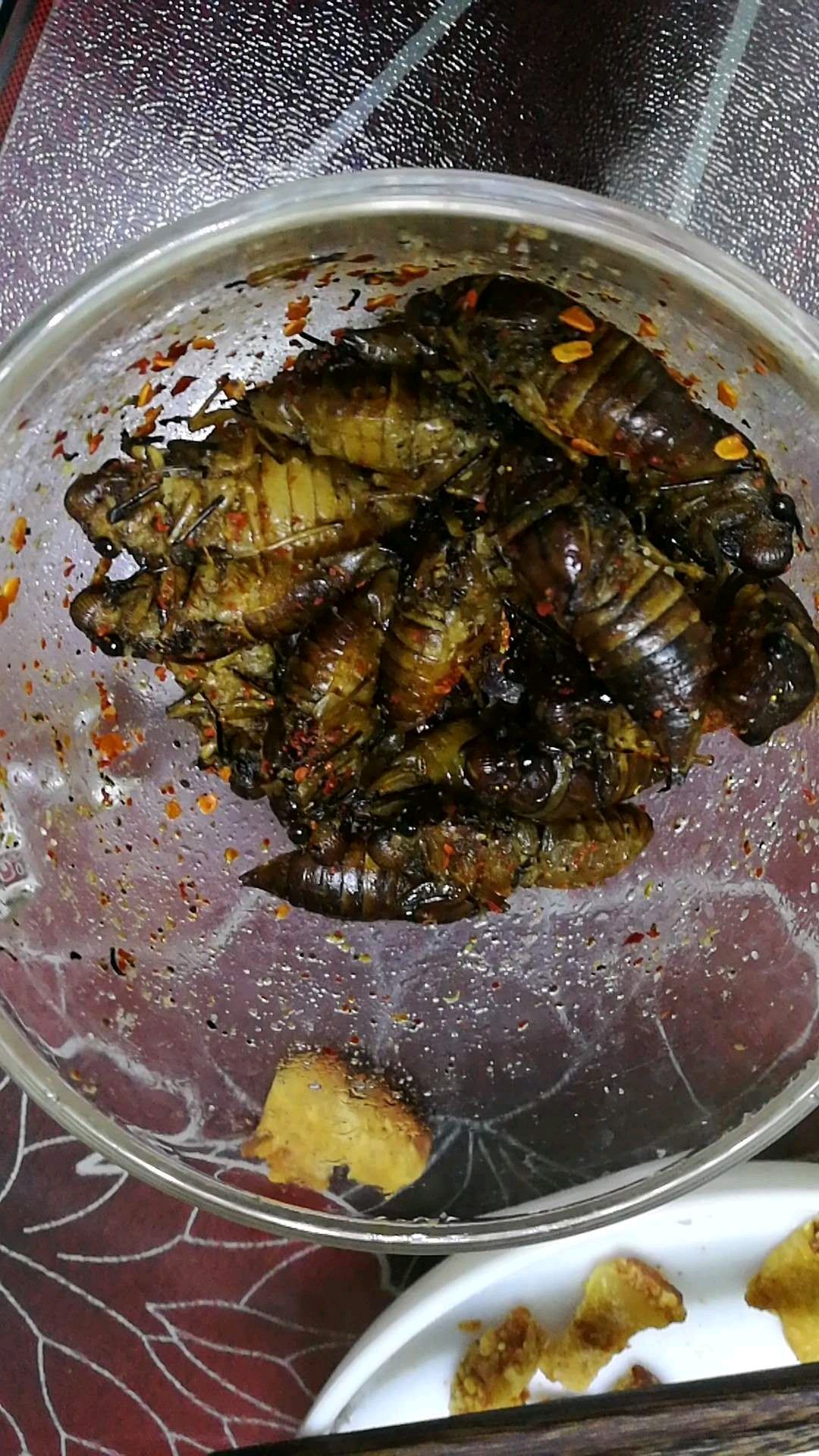 干煸蝉蛹（烧烤味儿）,干煸蝉蛹（烧烤味儿）的家常做法 - 美食杰干煸蝉蛹（烧烤味儿）做法大全